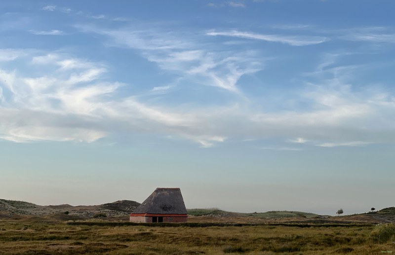 2025-06 - Texel Landscapes - 2025-06-25 21.17.21.nice.cropped